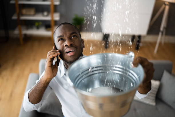 Best Water damage restoration near me  in Alderwood Manor, WA