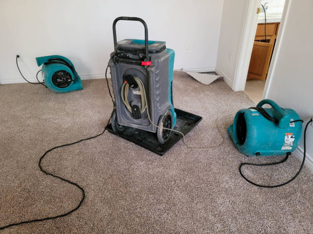 Best Professional water damage repair  in Alderwood Manor, WA