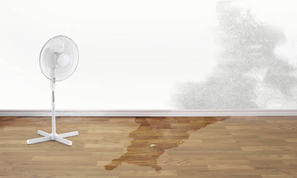 Best Emergency water damage restoration  in Alderwood Manor, WA