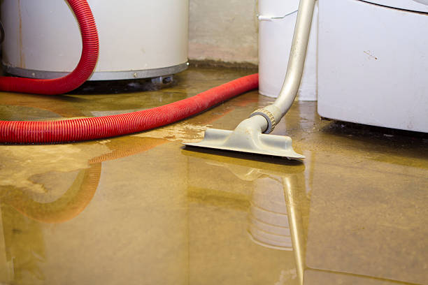 Best Water damage cleanup near me  in Alderwood Manor, WA