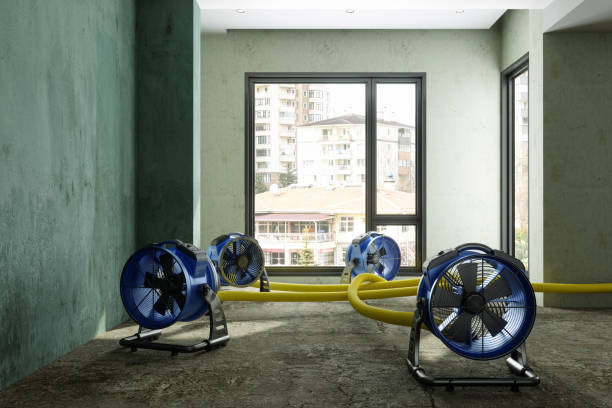 Best Local water damage restoration  in Alderwood Manor, WA