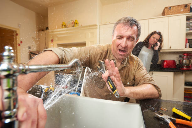 Best Water damage mitigation services  in Alderwood Manor, WA